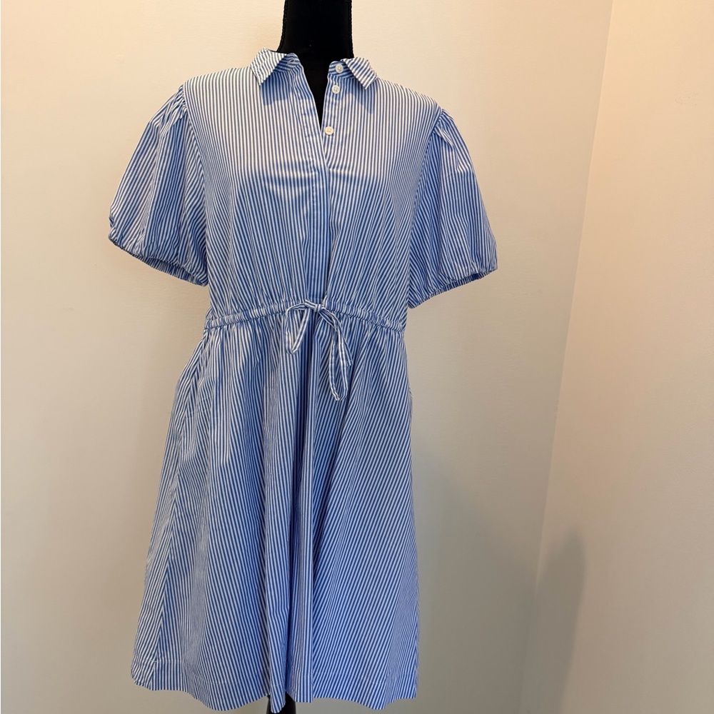 JCrew Factory Blue Striped Dress